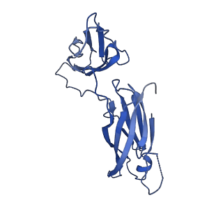 29501_8fwc_e_v1-0
Collar sheath structure of Agrobacterium phage Milano