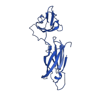 29501_8fwc_s_v1-0
Collar sheath structure of Agrobacterium phage Milano