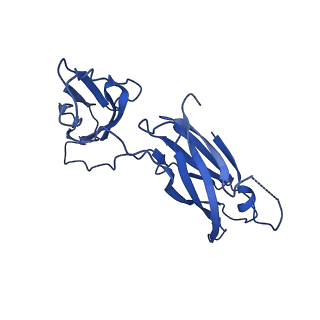 29501_8fwc_u_v1-0
Collar sheath structure of Agrobacterium phage Milano