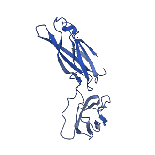 29503_8fwe_1_v1-0
Neck structure of Agrobacterium phage Milano, C3 symmetry