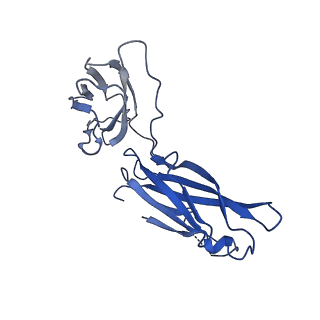 29503_8fwe_8_v1-0
Neck structure of Agrobacterium phage Milano, C3 symmetry