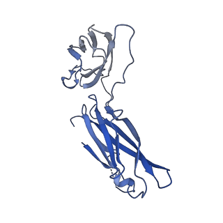 29503_8fwe_9_v1-0
Neck structure of Agrobacterium phage Milano, C3 symmetry