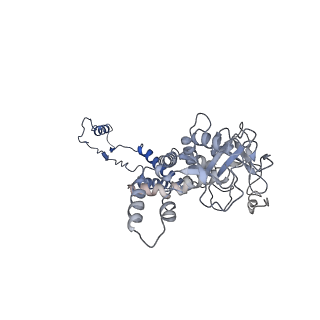 29503_8fwe_AA_v1-0
Neck structure of Agrobacterium phage Milano, C3 symmetry