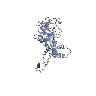 29503_8fwe_AD_v1-0
Neck structure of Agrobacterium phage Milano, C3 symmetry