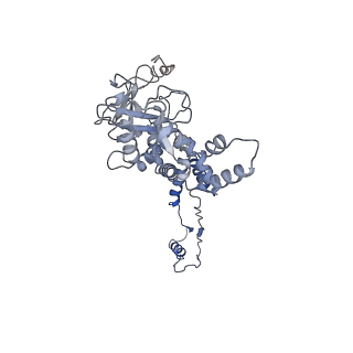 29503_8fwe_AE_v1-0
Neck structure of Agrobacterium phage Milano, C3 symmetry