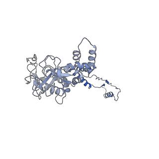 29503_8fwe_AG_v1-0
Neck structure of Agrobacterium phage Milano, C3 symmetry