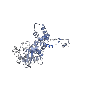 29503_8fwe_AH_v1-0
Neck structure of Agrobacterium phage Milano, C3 symmetry