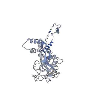 29503_8fwe_AJ_v1-0
Neck structure of Agrobacterium phage Milano, C3 symmetry
