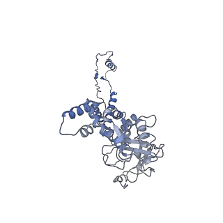 29503_8fwe_AK_v1-0
Neck structure of Agrobacterium phage Milano, C3 symmetry
