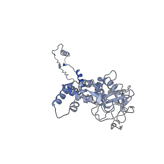 29503_8fwe_AL_v1-0
Neck structure of Agrobacterium phage Milano, C3 symmetry