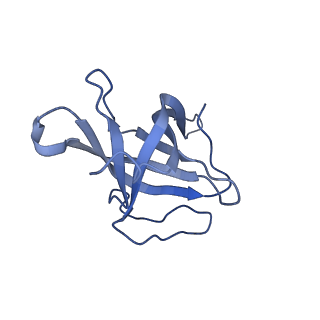29503_8fwe_AM_v1-0
Neck structure of Agrobacterium phage Milano, C3 symmetry
