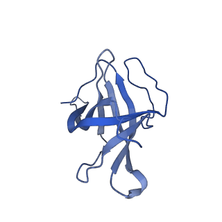 29503_8fwe_AO_v1-0
Neck structure of Agrobacterium phage Milano, C3 symmetry
