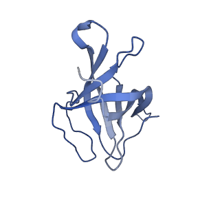 29503_8fwe_AP_v1-0
Neck structure of Agrobacterium phage Milano, C3 symmetry