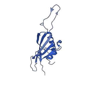 29503_8fwe_AQ_v1-0
Neck structure of Agrobacterium phage Milano, C3 symmetry