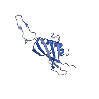 29503_8fwe_AR_v1-0
Neck structure of Agrobacterium phage Milano, C3 symmetry