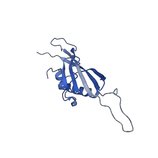 29503_8fwe_AS_v1-0
Neck structure of Agrobacterium phage Milano, C3 symmetry
