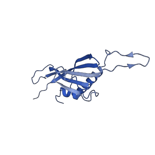 29503_8fwe_AT_v1-0
Neck structure of Agrobacterium phage Milano, C3 symmetry