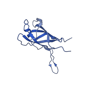 29503_8fwe_AU_v1-0
Neck structure of Agrobacterium phage Milano, C3 symmetry