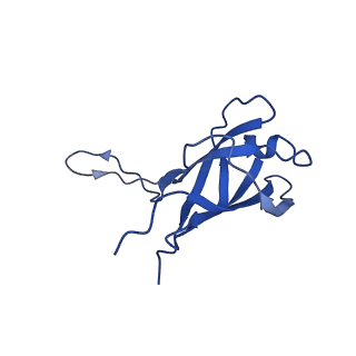 29503_8fwe_AV_v1-0
Neck structure of Agrobacterium phage Milano, C3 symmetry