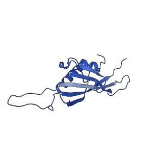 29503_8fwe_AW_v1-0
Neck structure of Agrobacterium phage Milano, C3 symmetry