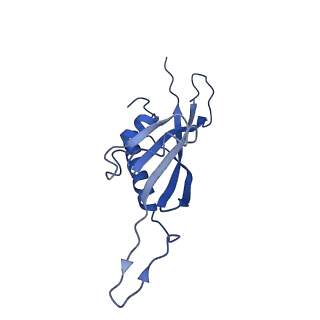 29503_8fwe_AX_v1-0
Neck structure of Agrobacterium phage Milano, C3 symmetry