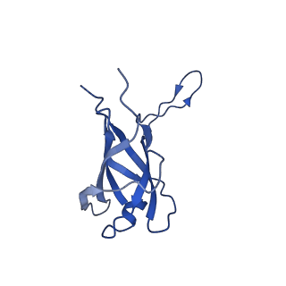 29503_8fwe_AY_v1-0
Neck structure of Agrobacterium phage Milano, C3 symmetry