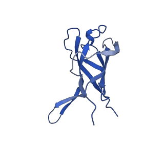 29503_8fwe_AZ_v1-0
Neck structure of Agrobacterium phage Milano, C3 symmetry