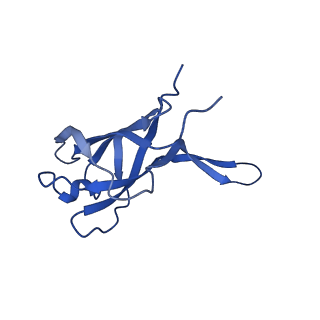 29503_8fwe_Ab_v1-0
Neck structure of Agrobacterium phage Milano, C3 symmetry