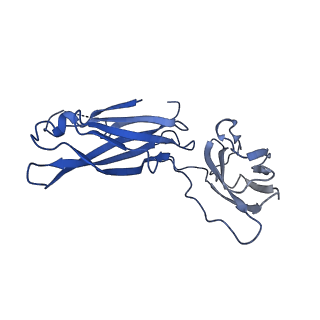 29503_8fwe_D_v1-0
Neck structure of Agrobacterium phage Milano, C3 symmetry