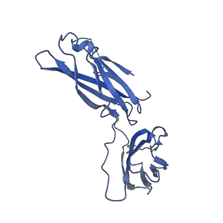 29503_8fwe_F_v1-0
Neck structure of Agrobacterium phage Milano, C3 symmetry