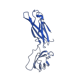 29503_8fwe_G_v1-0
Neck structure of Agrobacterium phage Milano, C3 symmetry