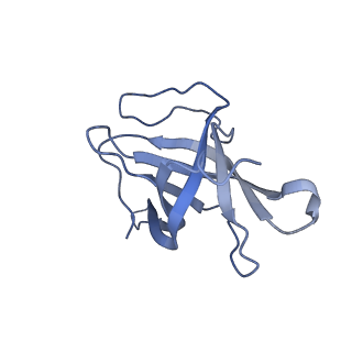 29503_8fwe_H_v1-0
Neck structure of Agrobacterium phage Milano, C3 symmetry