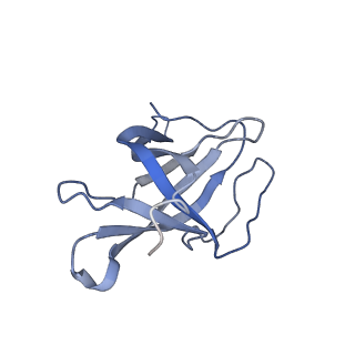 29503_8fwe_I_v1-0
Neck structure of Agrobacterium phage Milano, C3 symmetry