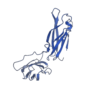 29503_8fwe_J_v1-0
Neck structure of Agrobacterium phage Milano, C3 symmetry
