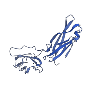 29503_8fwe_K_v1-0
Neck structure of Agrobacterium phage Milano, C3 symmetry