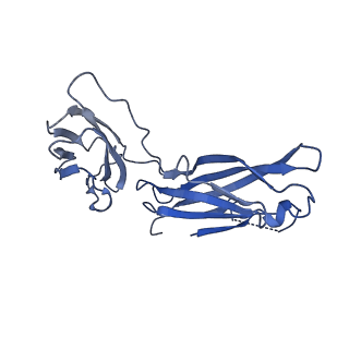 29503_8fwe_M_v1-0
Neck structure of Agrobacterium phage Milano, C3 symmetry