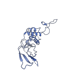 29503_8fwe_T4_v1-0
Neck structure of Agrobacterium phage Milano, C3 symmetry