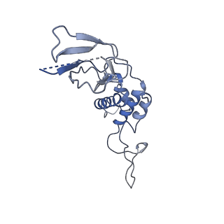 29503_8fwe_T5_v1-0
Neck structure of Agrobacterium phage Milano, C3 symmetry