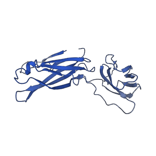 29503_8fwe_T_v1-0
Neck structure of Agrobacterium phage Milano, C3 symmetry