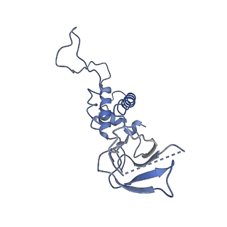 29503_8fwe_U4_v1-0
Neck structure of Agrobacterium phage Milano, C3 symmetry