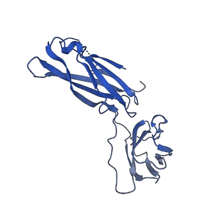 29503_8fwe_V_v1-0
Neck structure of Agrobacterium phage Milano, C3 symmetry