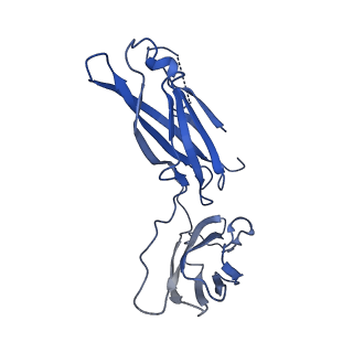29503_8fwe_W_v1-0
Neck structure of Agrobacterium phage Milano, C3 symmetry