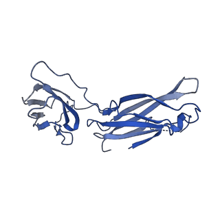 29503_8fwe_b_v1-0
Neck structure of Agrobacterium phage Milano, C3 symmetry