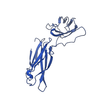 29503_8fwe_g_v1-0
Neck structure of Agrobacterium phage Milano, C3 symmetry