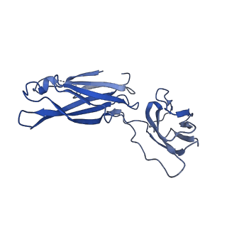 29503_8fwe_j_v1-0
Neck structure of Agrobacterium phage Milano, C3 symmetry