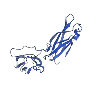 29503_8fwe_o_v1-0
Neck structure of Agrobacterium phage Milano, C3 symmetry