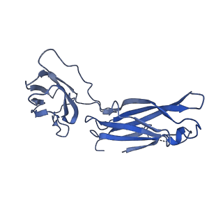 29503_8fwe_q_v1-0
Neck structure of Agrobacterium phage Milano, C3 symmetry