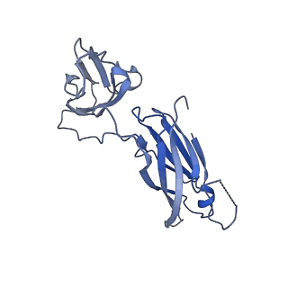 29504_8fwg_03_v1-0
Structure of neck and portal vertex of Agrobacterium phage Milano, C5 symmetry
