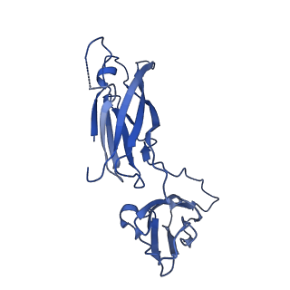 29504_8fwg_13_v1-0
Structure of neck and portal vertex of Agrobacterium phage Milano, C5 symmetry