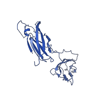 29504_8fwg_23_v1-0
Structure of neck and portal vertex of Agrobacterium phage Milano, C5 symmetry